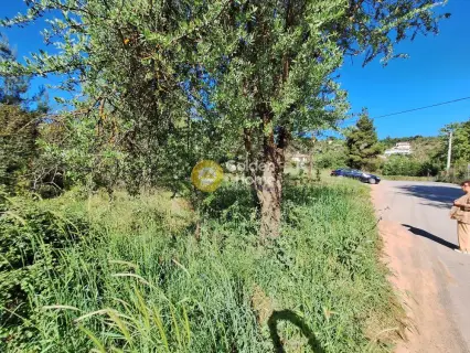 Residential 1362m<sup>2</sup> for sale photo 4193307