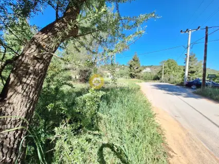 Residential 1362m<sup>2</sup> for sale photo 4193308