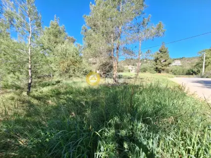 Residential 1362m<sup>2</sup> for sale photo 4193309