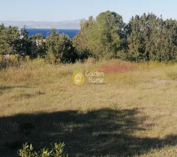 Residential 852m<sup>2</sup> for sale photo 4393952