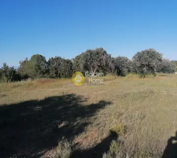 Residential 852m<sup>2</sup> for sale photo 4393953