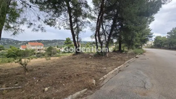 Οικιστικό 1198τ.μ. προς πώληση φωτογραφία 1