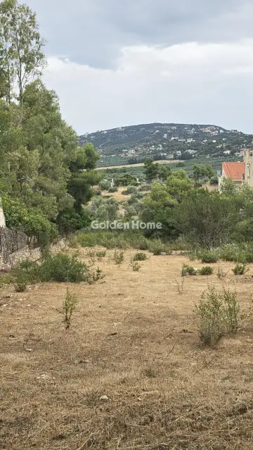 Οικιστικό 1198τ.μ. προς πώληση φωτογραφία 3