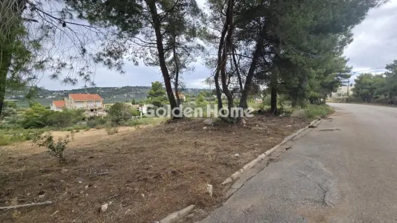 Οικιστικό 1198τ.μ. προς πώληση φωτογραφία 5490140