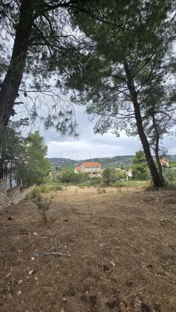 Οικιστικό 1198τ.μ. προς πώληση φωτογραφία 5490141