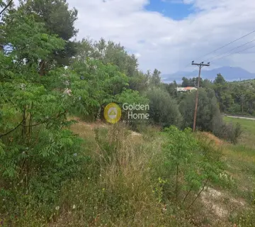 Parcel 10000m<sup>2</sup> for sale photo 2