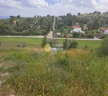 Parcel 10000m<sup>2</sup> for sale photo 1
