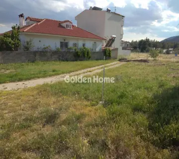 Residential 620m<sup>2</sup> for sale photo 3