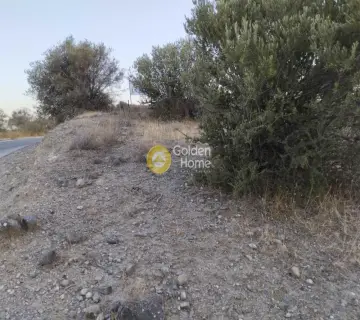 Professional Plot 2200m<sup>2</sup> for sale photo 4375815