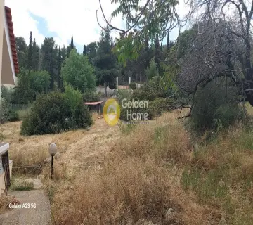 Οικιστικό 3600τ.μ. προς πώληση φωτογραφία 4251802