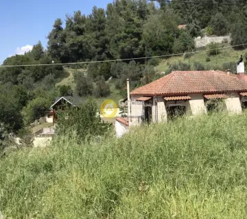 Residential 838m<sup>2</sup> for sale photo 5