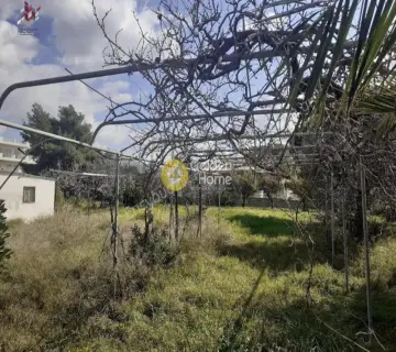 Residential 518m<sup>2</sup> for sale photo 4193973