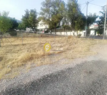 土地 368m<sup>2</sup> for sale photo 1