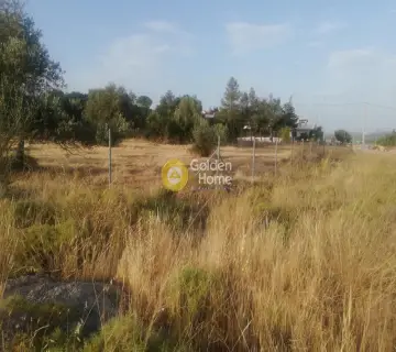 Residential 1042m<sup>2</sup> for sale photo 3