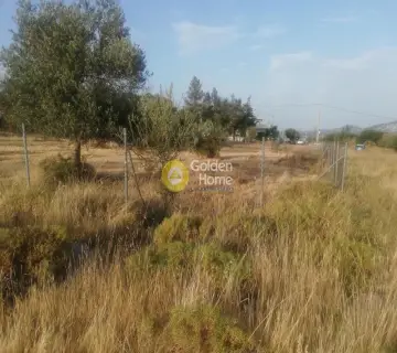 Residential 1042m<sup>2</sup> for sale photo 2