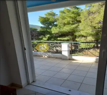 Μονοκατοικία 329τ.μ. προς πώληση φωτογραφία 4224979
