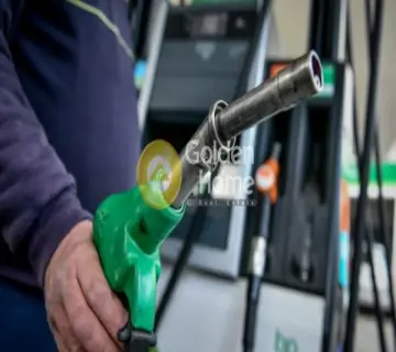 Golden Home Property Image