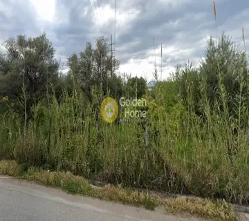 Professional Plot 2283m<sup>2</sup> for sale photo 4203192