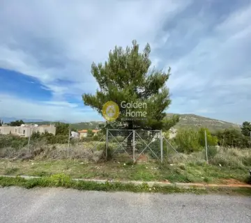 Οικιστικό 1588τ.μ. προς πώληση φωτογραφία 4204133