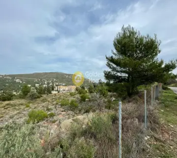 Οικιστικό 1588τ.μ. προς πώληση φωτογραφία 4204137