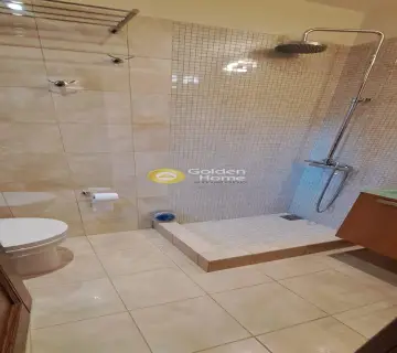 Μονοκατοικία 645τ.μ. προς πώληση φωτογραφία 82
