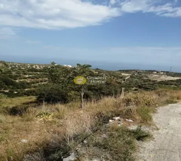 Professional Plot 6700m<sup>2</sup> for sale photo 1
