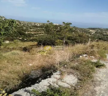 Professional Plot 6700m<sup>2</sup> for sale photo 4