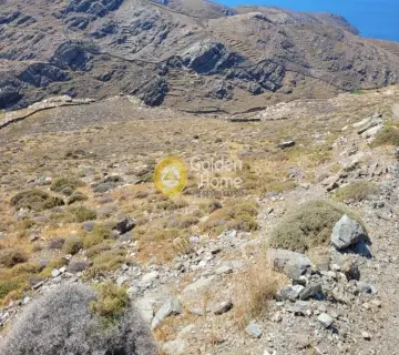 Area 8474m<sup>2</sup> for sale photo 3