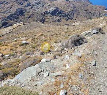 Area 8474m<sup>2</sup> for sale photo 6