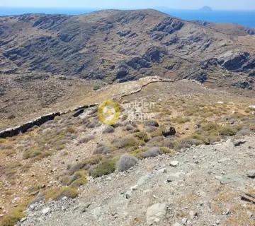 Area 8474m<sup>2</sup> for sale photo 7