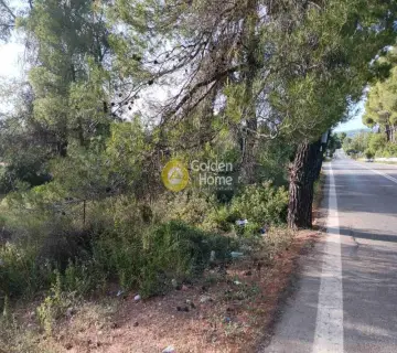 Residential 4715m<sup>2</sup> for sale photo 6