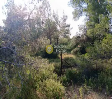 Residential 4715m<sup>2</sup> for sale photo 12