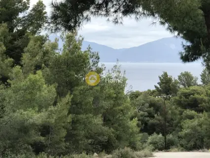 Μονοκατοικία 450τ.μ. προς πώληση φωτογραφία 21
