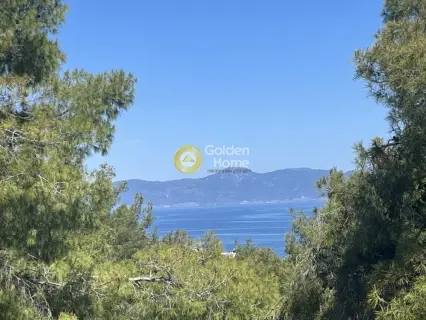 Μονοκατοικία 450τ.μ. προς πώληση φωτογραφία 1