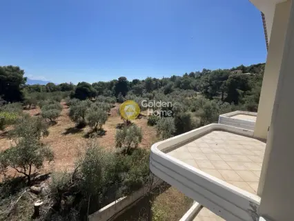 Μονοκατοικία 450τ.μ. προς πώληση φωτογραφία 7