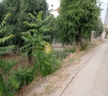 Residential 741m<sup>2</sup> for sale photo 4222449