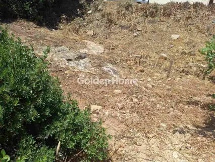 住宅 375m<sup>2</sup> for sale photo 4