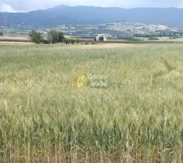区域 34700m<sup>2</sup> for sale photo 4217323
