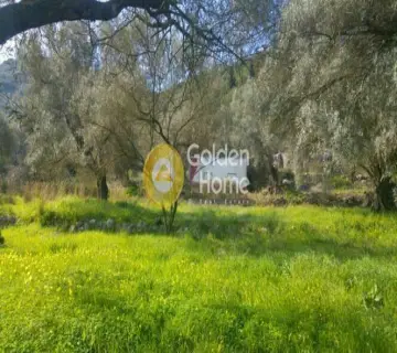 Professional Plot 2040m<sup>2</sup> for sale photo 4227481