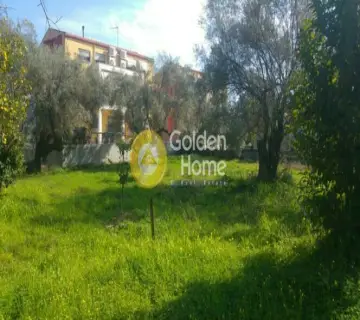 Professional Plot 2040m<sup>2</sup> for sale photo 4227488