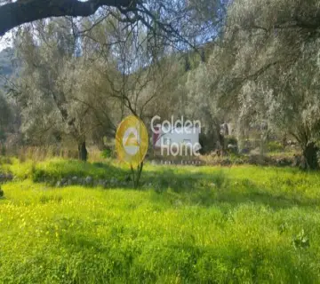 Professional Plot 2040m<sup>2</sup> for sale photo 4227495