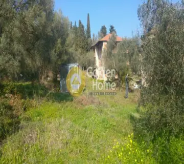 Professional Plot 2040m<sup>2</sup> for sale photo 4227499