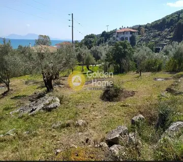 Professional Plot 2040m<sup>2</sup> for sale photo 4227500