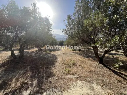 Residential 1163m<sup>2</sup> for sale photo 5104035