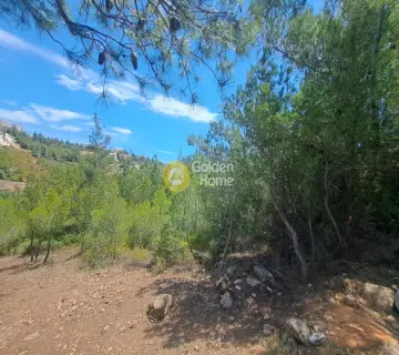 Οικιστικό 506τ.μ. προς πώληση φωτογραφία 4222391