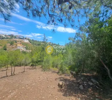 Οικιστικό 506τ.μ. προς πώληση φωτογραφία 4222389