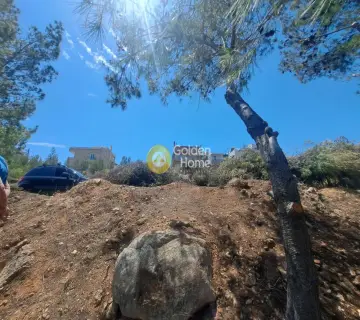 Οικιστικό 506τ.μ. προς πώληση φωτογραφία 4222387