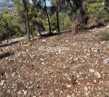 Οικιστικό 1040τ.μ. προς πώληση φωτογραφία 10