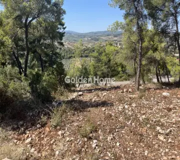 Οικιστικό 1040τ.μ. προς πώληση φωτογραφία 11