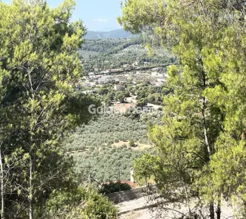 Οικιστικό 1040τ.μ. προς πώληση φωτογραφία 3